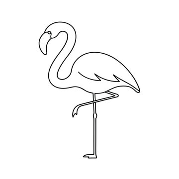 Simple outlined illustration of a flamingo bird standing gracefully on one leg against a clean white backdrop.