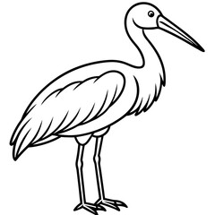 Minimal Asian Openbill Vector on White