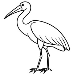 Minimal Asian Openbill Vector on White