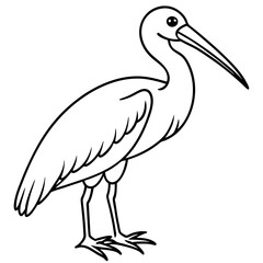 Minimal Asian Openbill Vector on White