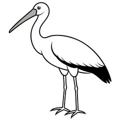 Minimal Asian Openbill Vector on White