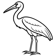 Minimal Asian Openbill Vector on White