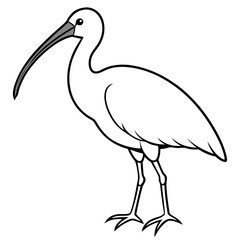 Minimal White Ibis Vector on White