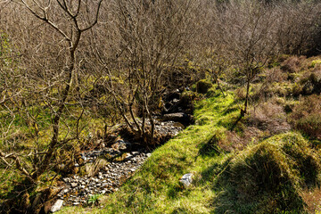 Trail on the cricular route of Moel Hebog, Beddgelert, Snowdonia national park