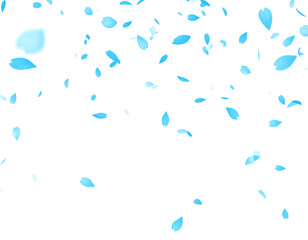 blue petals flying floating isolated on white or transparent background