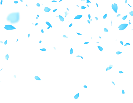 blue petals flying floating isolated on white or transparent background