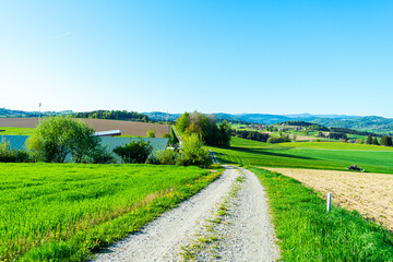 Hiking on the Wolfensteiner Ohe in the bavarian Forests Germany
