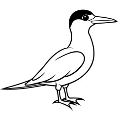 Minimal Caspian Tern Vector on White