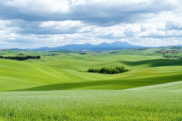 Fototapeta premium Rolling Hills, Green Fields, Cloudy Sky