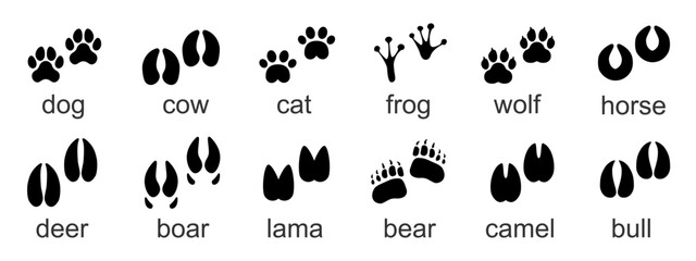 Animal tracks set. Footprints paw prints isolated