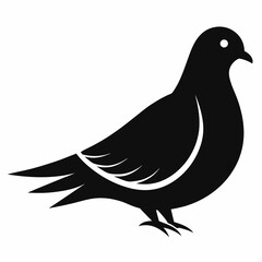 dove of peace