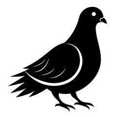 dove of peace