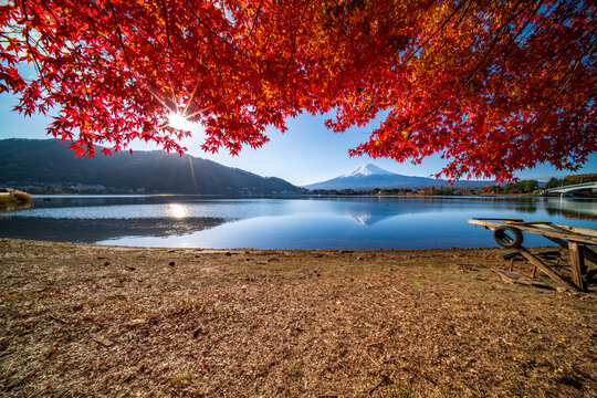 Fototapeta Mountain fuji with red maple in Autumn, Kawaguchiko Lake, Japan