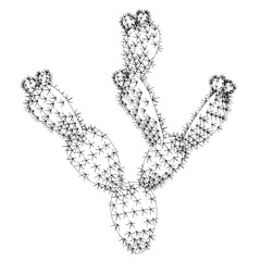 A black and white drawing of a cactus with a lot of spines. The cactus is very detailed and has a lot of texture. The drawing gives off a feeling of loneliness and isolation