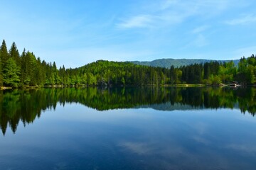 Forest covered hill above lago di Fusine inferiore in municipality of Tarvisio in Italy