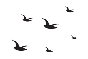 set of birds icon, birds vector illustration.