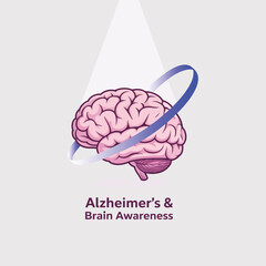 Vector illustration of human brain anatomy, a medical symbol of intelligence