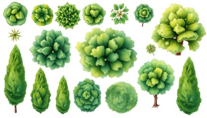Watercolor top view tree collection for landscaping design, architectural plants and garden plan drawing, isolated vector elements for graphic design projects