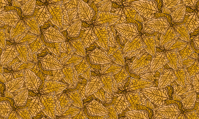colorful tropical leaves  spring nature background
