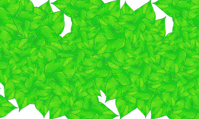 colorful tropical leaves  spring nature background