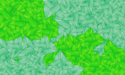 colorful tropical leaves  spring nature background