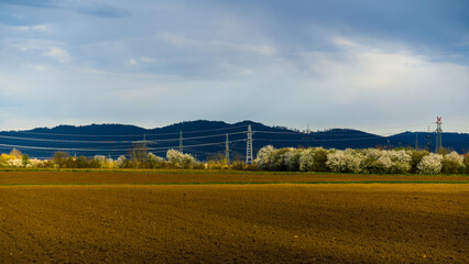 Spring scenery with blooming trees, arable, blue wooded hills, rain clouds