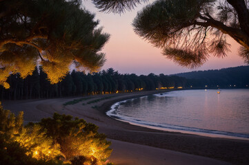 Dense pine grove in after sunset