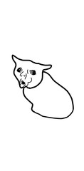 drawing of a cat mocking