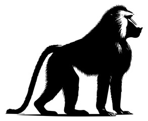 A black and white logo of a baboon standing and looking into the distance on a white isolated background. Vector graphics. EPS.