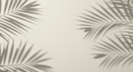 Palm leaf shadows on wall