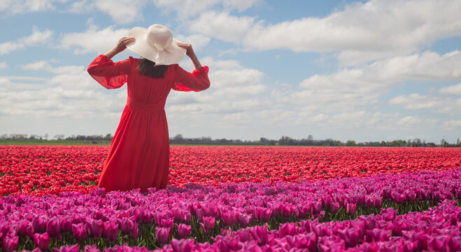rear view of woman in classic red dress holding her white summer hat in a field of pink tulip flowers under blue sky with clouds