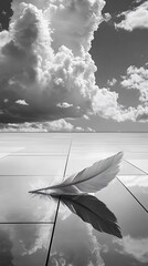 Grayscale Feather on Reflective Tile Floor – Minimalist Fine Art Composition with Abstract Elegance and Soft Lighting