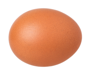 chicken egg isolated, transparent PNG, PNG format, cut out