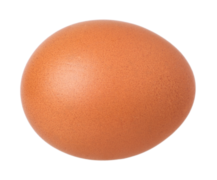 chicken egg isolated, transparent PNG, PNG format, cut out