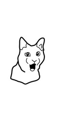 cat shocked meme