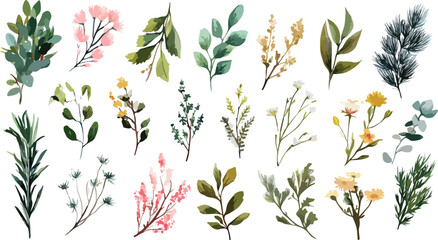 Watercolor floral set Spring flowers isolated clipart. Watercolor flower springtime, tulips, lily and narcissus 
 