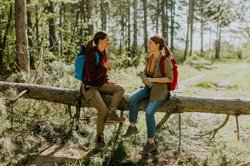 Naklejka premium Friends enjoy a refreshing break while hiking through a serene forest on a sunny afternoon