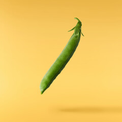 Fresh raw ripe Pods of Green Peas falling in the air isolated on yellow background. Food levitation...