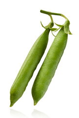 Fresh raw ripe Pods of Green Peas falling in the air isolated on white background. Food levitation or zero gravity conception