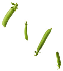 Fresh raw ripe Pods of Green Peas falling in the air isolated on white background. Food levitation...