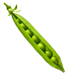 Fresh raw ripe Pods of Green Peas falling in the air isolated on white background. Food levitation...