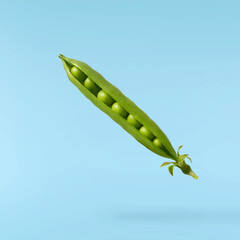 Fresh raw ripe Pods of Green Peas falling in the air isolated on blue background. Food levitation...