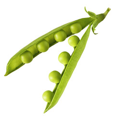 Fresh raw ripe Pods of Green Peas falling in the air isolated on white background. Food levitation...