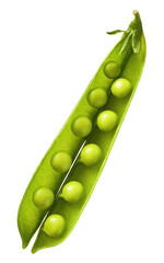 Fresh raw ripe Pods of Green Peas falling in the air isolated on white background. Food levitation...