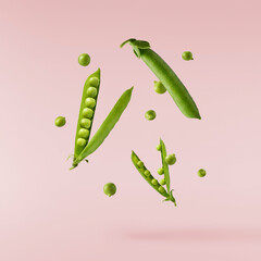 Fresh raw ripe Pods of Green Peas falling in the air isolated on pink background. Food levitation...