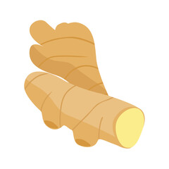 Ginger root isolated on white background. Healthy food and medicinal herb, plant