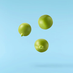 Fresh raw Green Peas falling in the air isolated on blue background. Food levitation or zero...