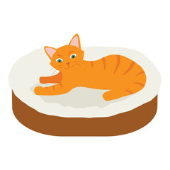 Ginger cat sleeps in his soft cozy bed cushion