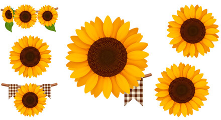 Vibrant sunflowers with warm yellow petals, capturing the essence of summer and autumnal beauty.  Cheerful floral arrangement.