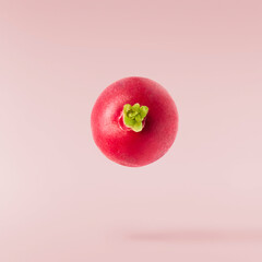 Fresh raw Red Radish with green leaves falling in the air isolated on pink backgriund. Food...
